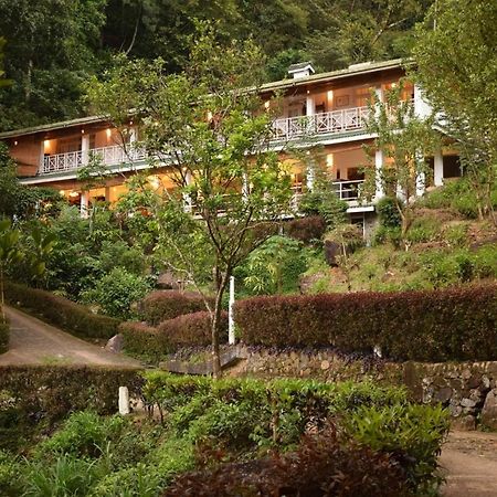 Forest Edge Hotel Ginigathena Εξωτερικό φωτογραφία