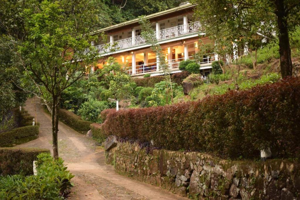 Forest Edge Hotel Ginigathena Εξωτερικό φωτογραφία