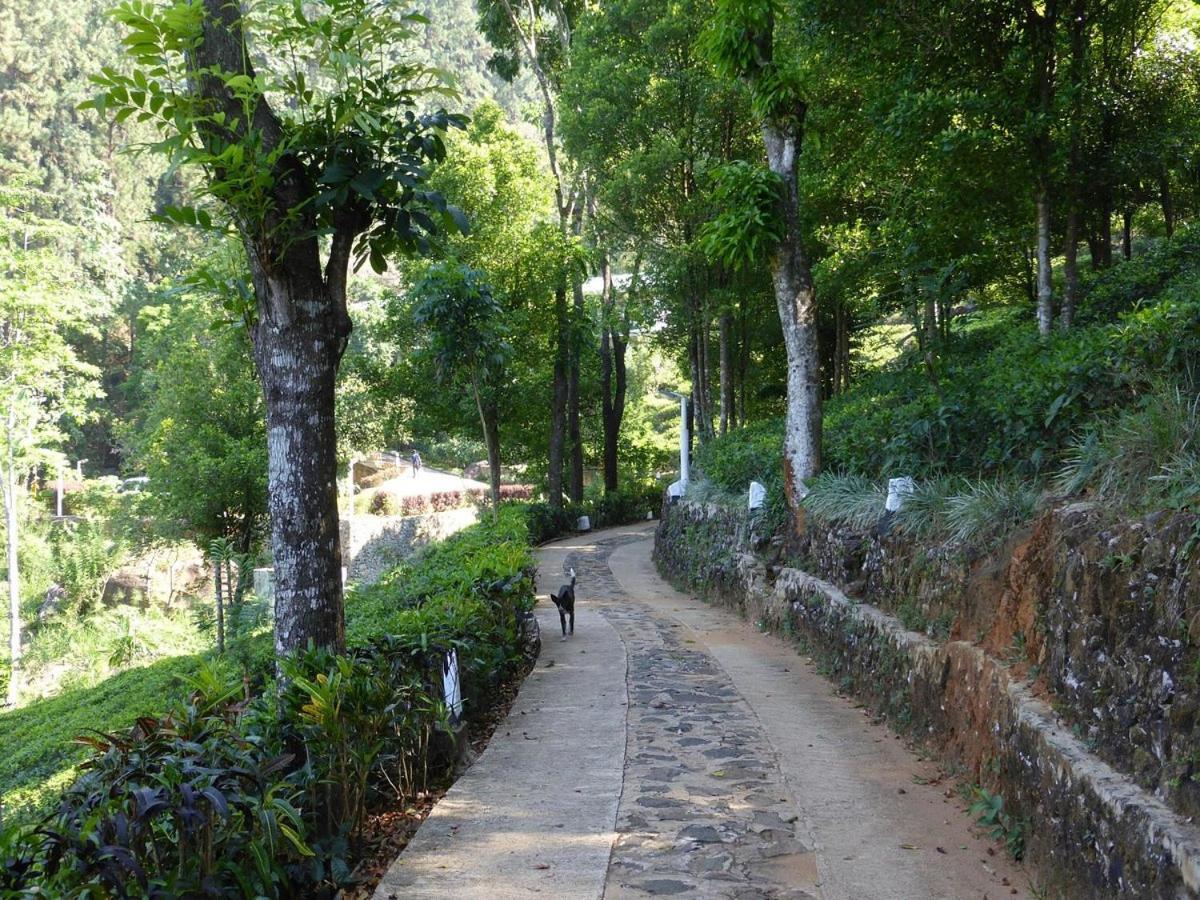Forest Edge Hotel Ginigathena Εξωτερικό φωτογραφία