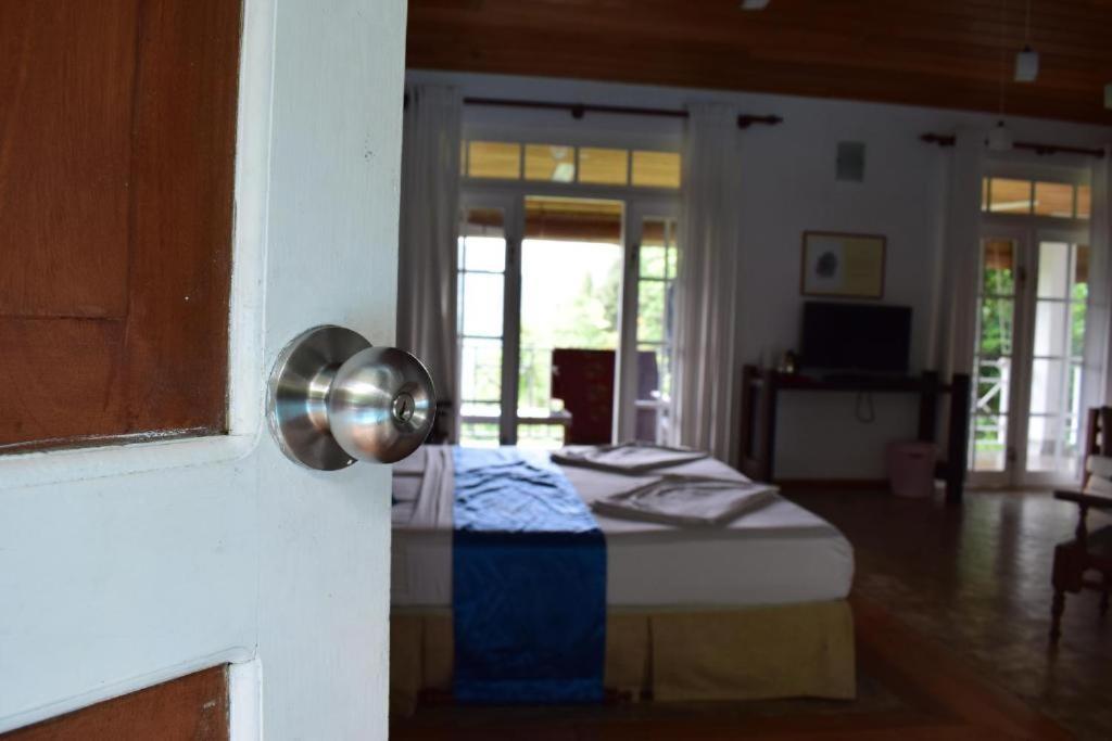 Forest Edge Hotel Ginigathena Εξωτερικό φωτογραφία